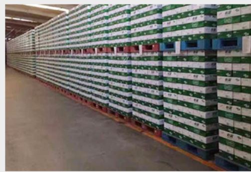 1200x1200mm Injection Molded Plastic Pallets